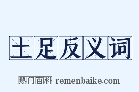 土足反义词是什么意思的图片